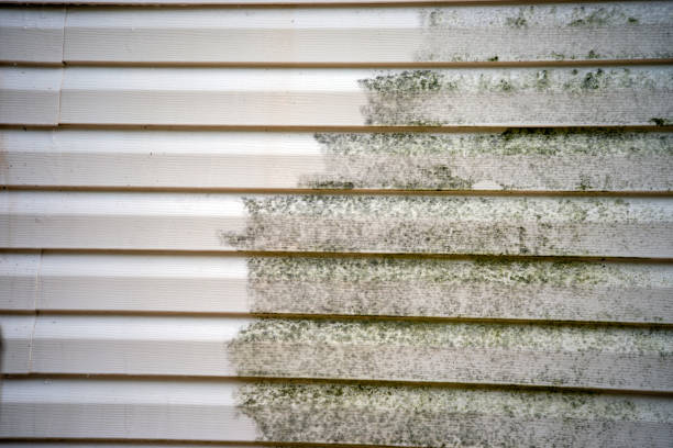 Best Construction Debris Removal  in Falfurrias, TX